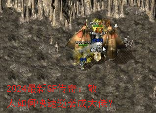 2024SF棺ɢοϮɴУ