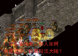 1.76˽棺ɢο𲽣ư귨½