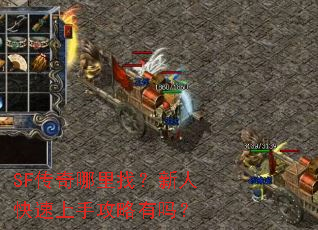 SFң˿ֹ