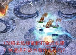 176Ʒ˽´ģսʲôɣ