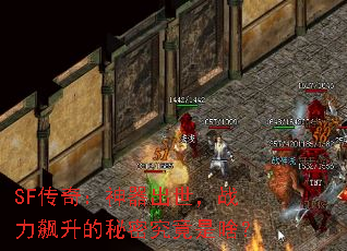 SF棺սܾɶ