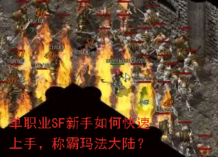 ְҵSFο֣ư귨½