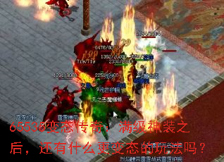 65535̬棺װ֮󣬻ʲô̬淨