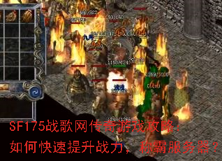 SF175սϷԣοսưԷ