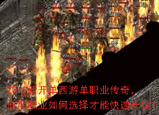 2018¿εְҵ棬ǰְҵѡܿ