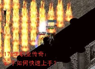 176ְҵ棺ο֣
