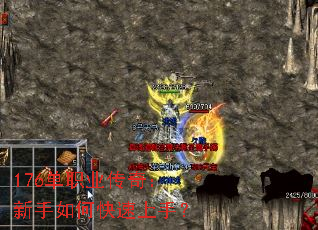 176ְҵ棺ο֣