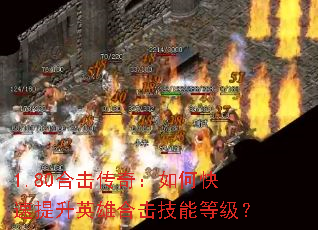 1.80ϻ棺οӢۺϻܵȼ
