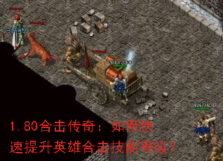 1.80ϻ棺οӢۺϻܵȼ
