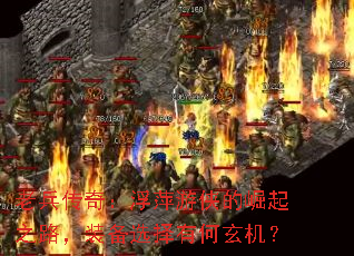 ϱ棺Ƽ֮·װѡк