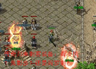 ̿װ磿Ӱ޴̣