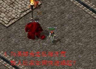 1.76Ӣۺϻ˽ģɢο
