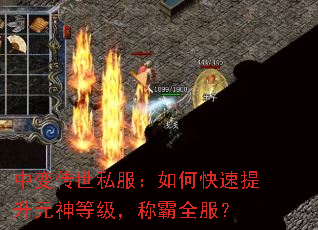 б䴫˽οԪȼưȫ