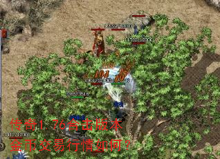 1.76ϻ汾ҽΣ