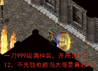 һ999װVIP12ǮҲܵ