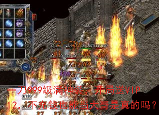һ999װVIP12ǮҲܵ