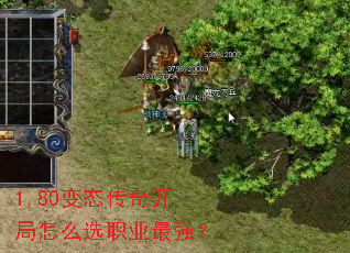 1.80̬濪ôѡְҵǿ