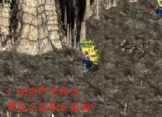 1.80̬濪ôѡְҵǿ