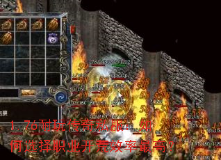 1.76洫˽ѡְҵЧߣ