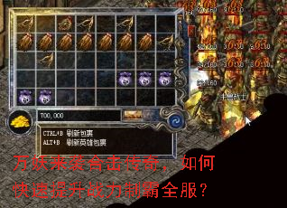 Ϯϻ棬οսưȫ