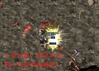 ʮ꾭䣬弶ɢο