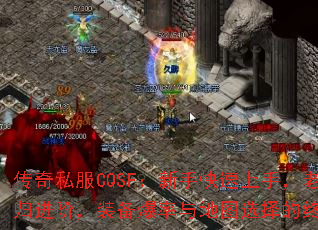 ˽CQSFֿ֣һعףװͼѡռʣ