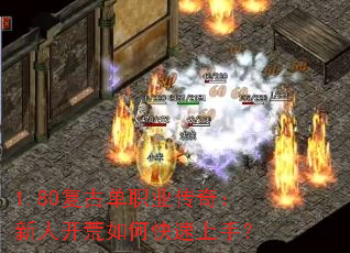 1.80ŵְҵ棺˿ο֣