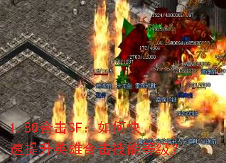 1.80ϻSFοӢۺϻܵȼ