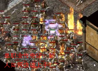 ְҵSFο֣