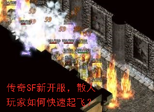 SF¿ɢοɣ