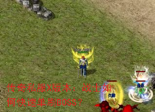 ˽X汾սʿοٵˢBOSS
