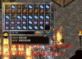 ְҵ棺װصأﱬߣ