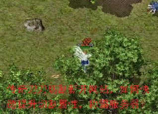 浶и¿վοиԣưԷ