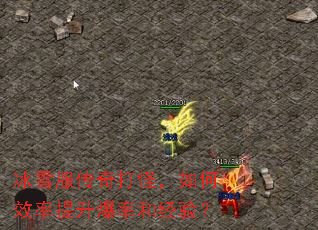 ѩ֣Чʺ;飿