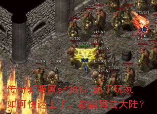 ·sf301ο֣ư귨½