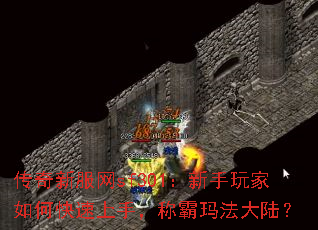 ·sf301ο֣ư귨½