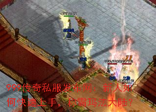999˽ο֣ư귨½