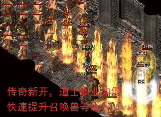 ¿ʿְҵοٻ޵ȼ