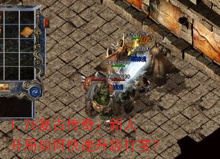 1.76Ŵ棺˿ο򱦣