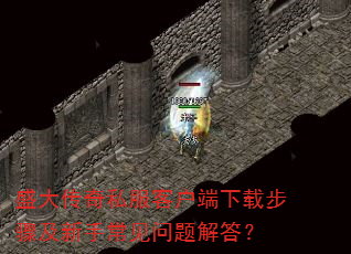ʢ˽ͻز輰ֳ