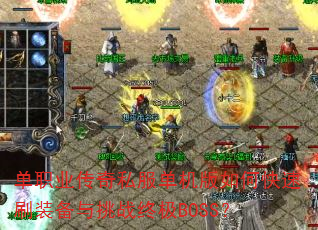 ְҵ˽οˢװսռBOSS