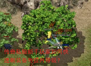 传奇私服新手玩家如何快速刷装备与提升等级? 传奇私服新手玩家如何快速刷装备与提升等级?