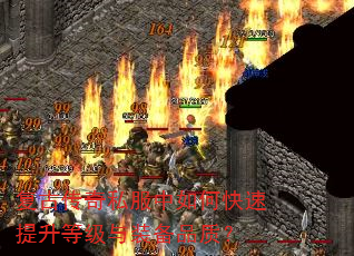 Ŵ˽οȼװƷʣ