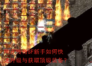 տSFοȡװ