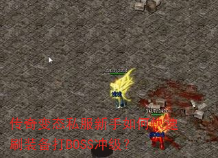 ̬˽οˢװBOSS弶