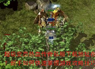 ̬Ѫ˽صַģοϷԼɣ