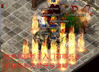 ˽Щ֪ɺ͸Чԣ