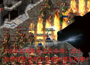 195Ӱϻսʿδ䷨ʦ߱˺