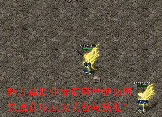 ¿ְҵʢοٻȡװ뼼ܣ