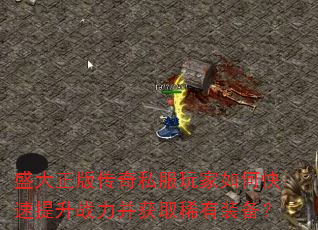 ʢ洫˽οսȡϡװ
